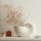Vase Coquillage